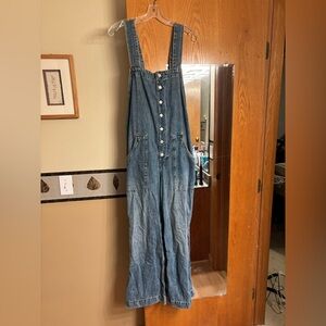 We The Free High Roller Blue Denim Jumpsuit